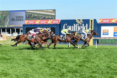 caulfield race results|Latest Caulfield Horse Racing Results .